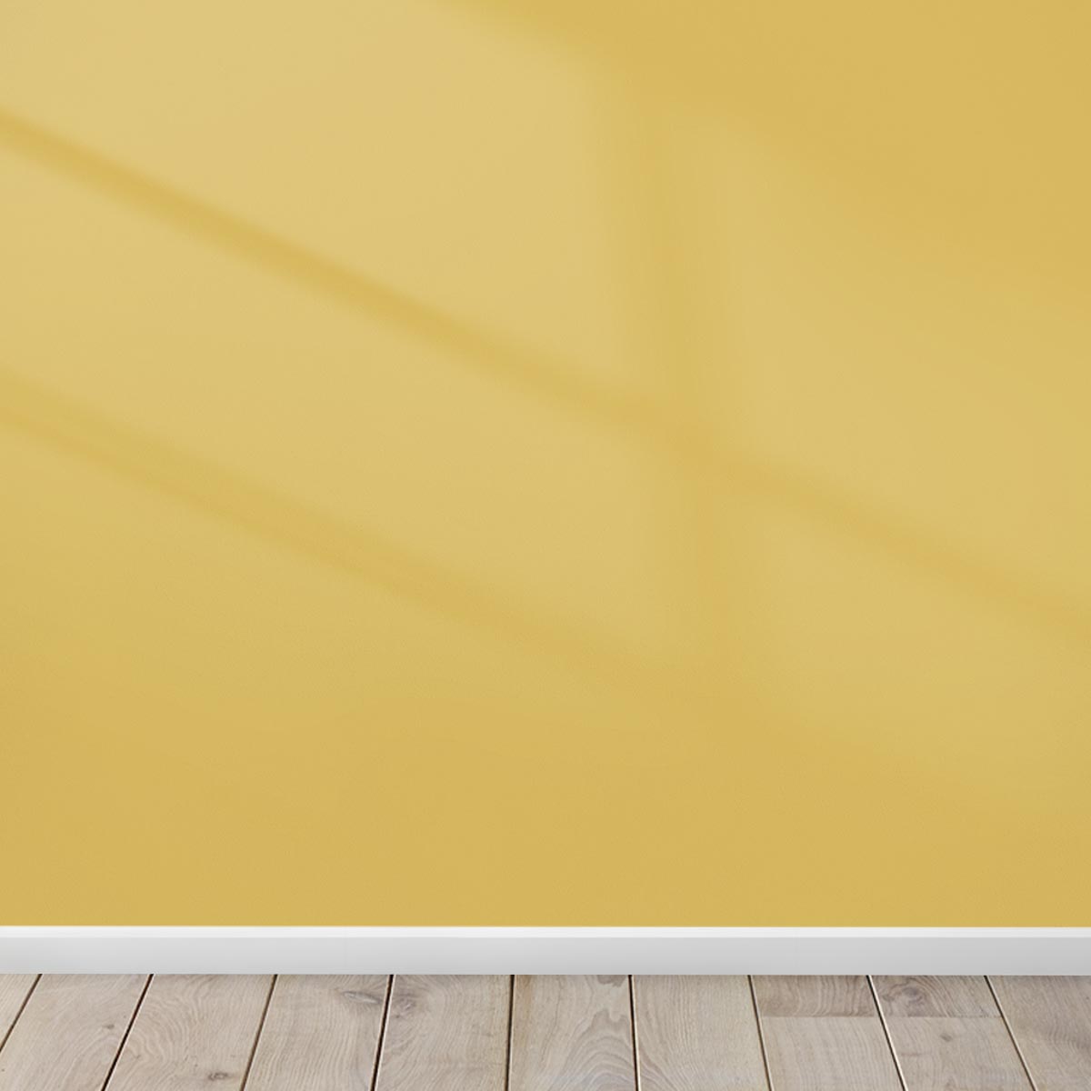 Golden Wattle Interior Paint